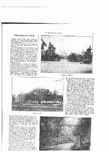LIVRE D OR DE L ORANIE_000098